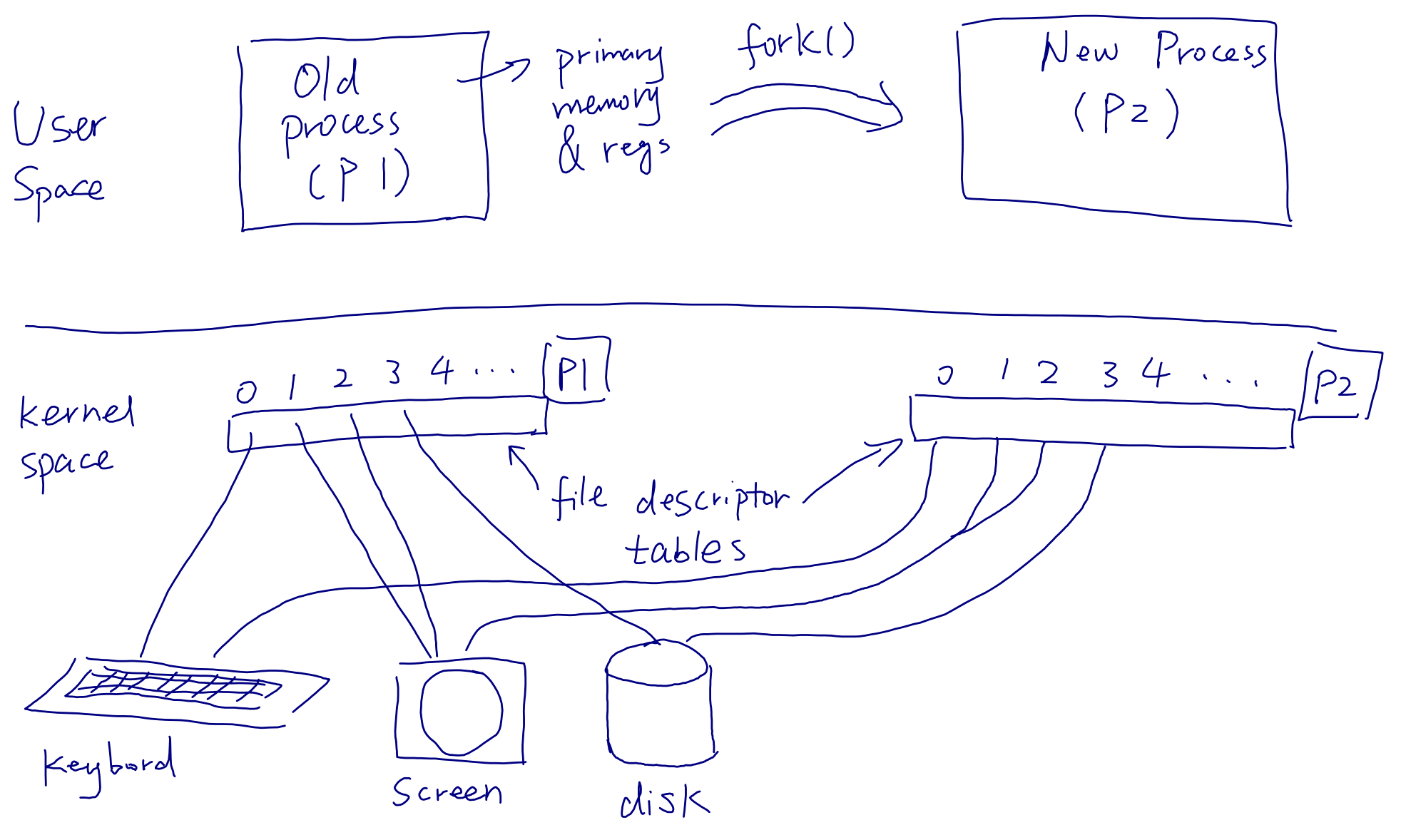 Fork duplicates file descriptor table.